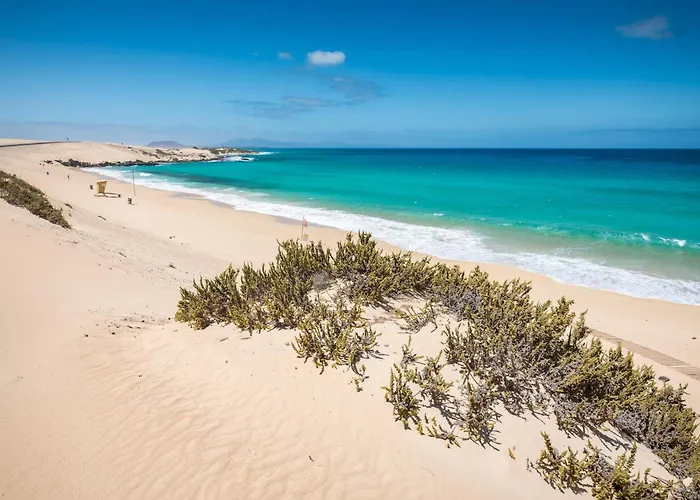 Apartamento Home2book Relax Terrace Pool Corralejo